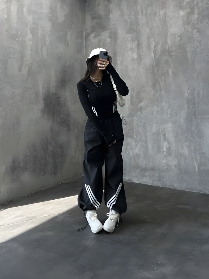 Ensemble Flow